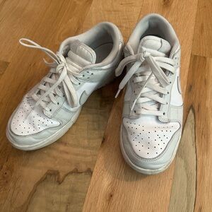 Nike Low Dunk Sneakers